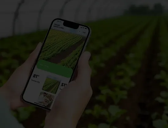 Agriculture image